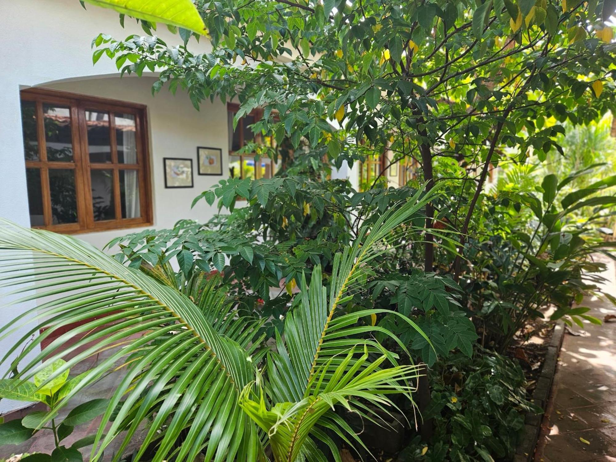 Hotel Tranquilo Las Penitas Bagian luar foto